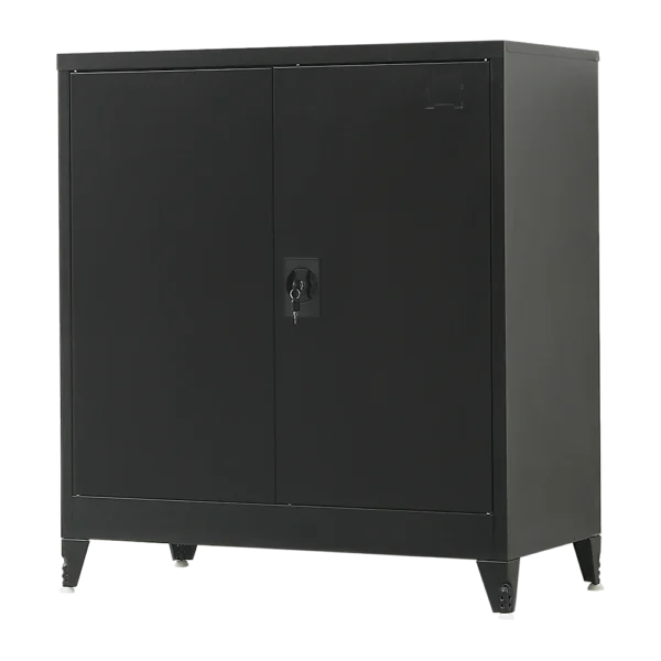 Two-Door Metal Short Cabinet Shelf Storage for Home Office Gym