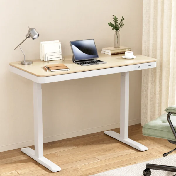 Artiss Standing Desk Motorised Electric Dual Motor Draw 120 cm – Oak