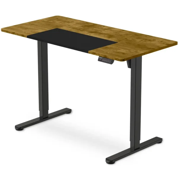 FORTIA Sit to Stand Standing Desk, 120x60 cm, 72-118 cm Electric Height Adjustable, Walnut Style Desktop Black Frame
